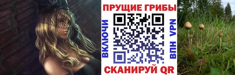 Галлюциногенные грибы GOLDEN TEACHER  Макарьев 